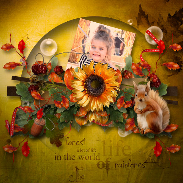 automne serenade