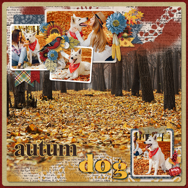 Autum Dog