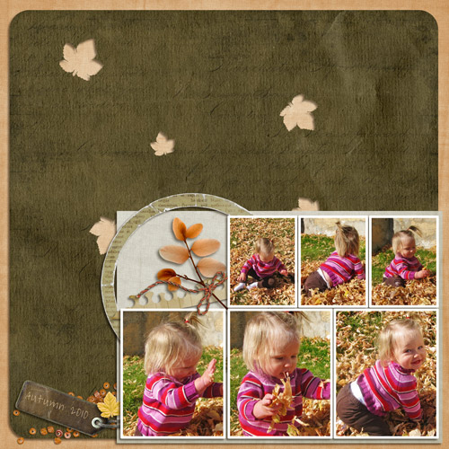 autumn-2010-web