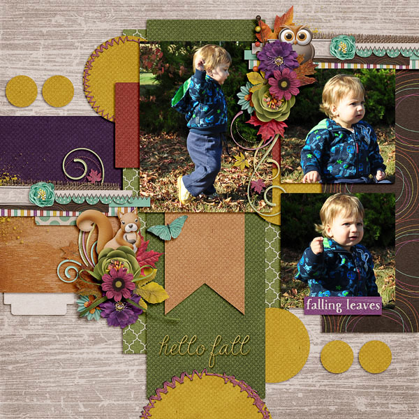 Autumn 2011