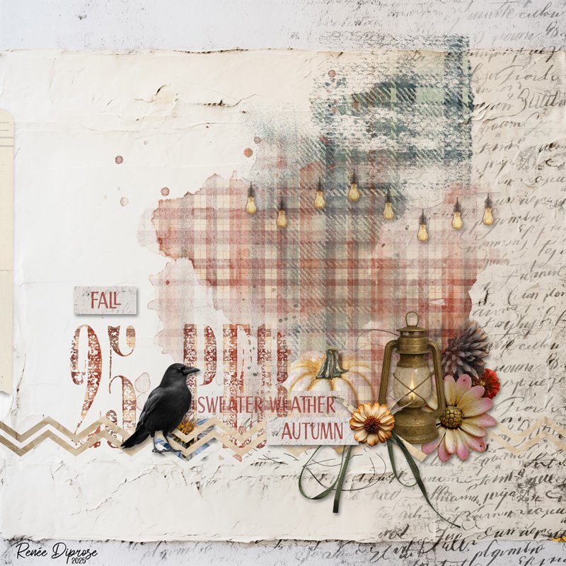 Autumn 25