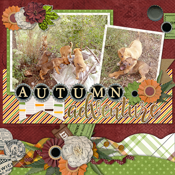 Autumn Adventure