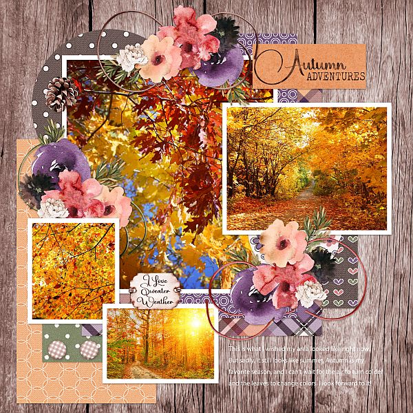 Autumn Adventures