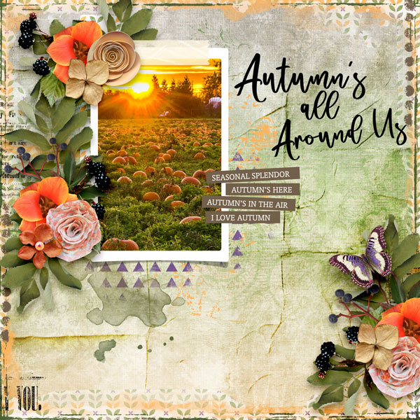 Autumn all around us