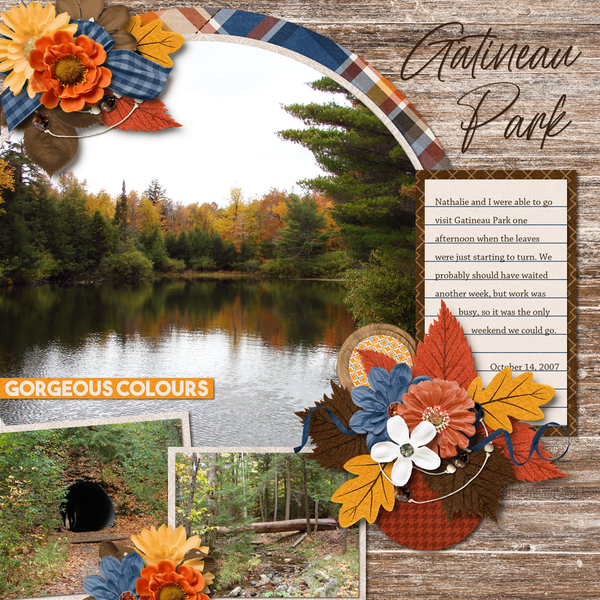 Autumn Allure