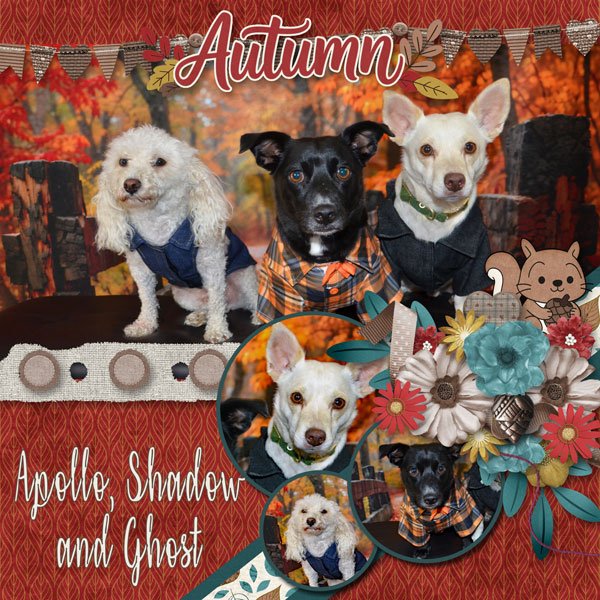 Autumn Apollo Shadow and Ghost