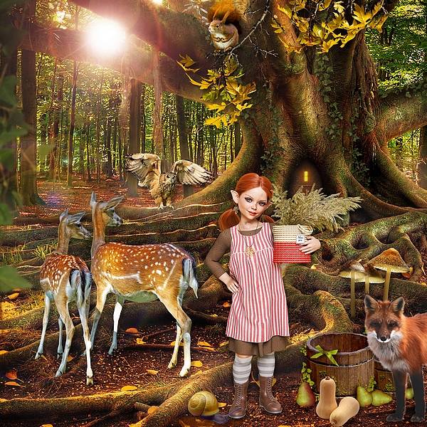 Autumn arrives in enchanted land