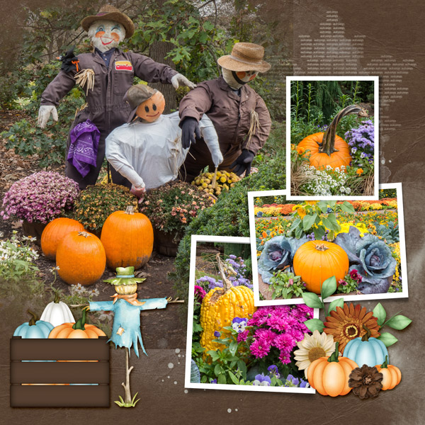 Autumn at Cantigny