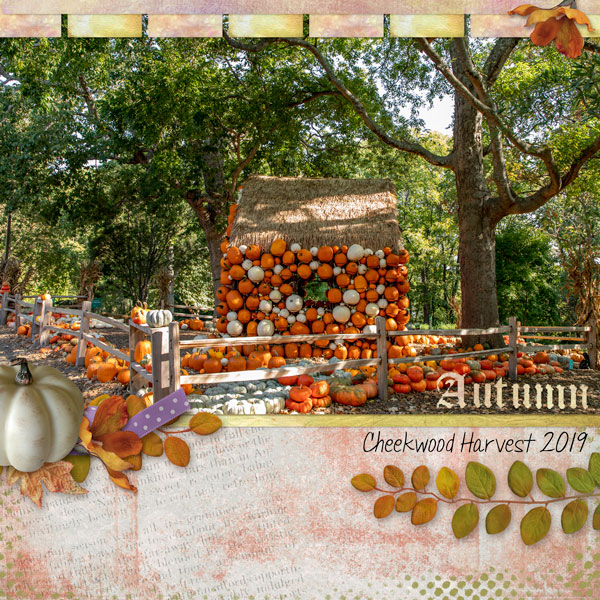 Autumn at Cheekwood