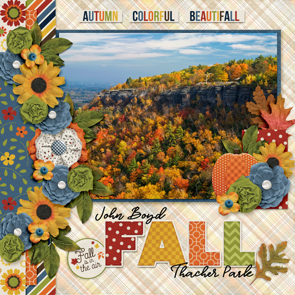 Autumn at John Boyd Thacher Park