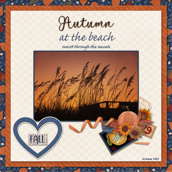 Autumn At The Beach