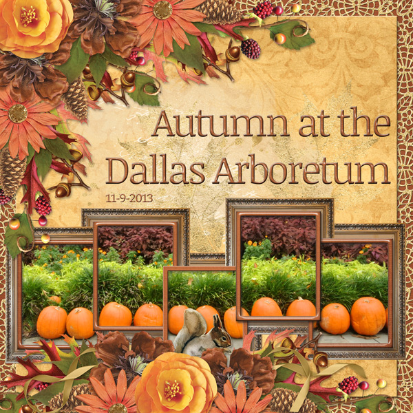 Autumn at the Dallas Arboretum