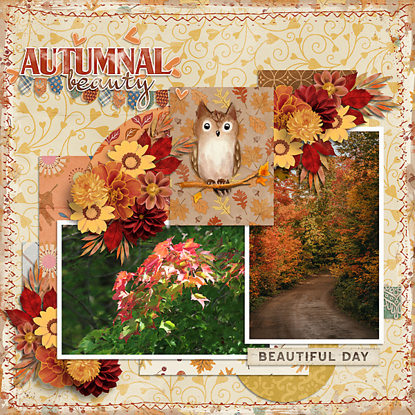 Autumn Aura