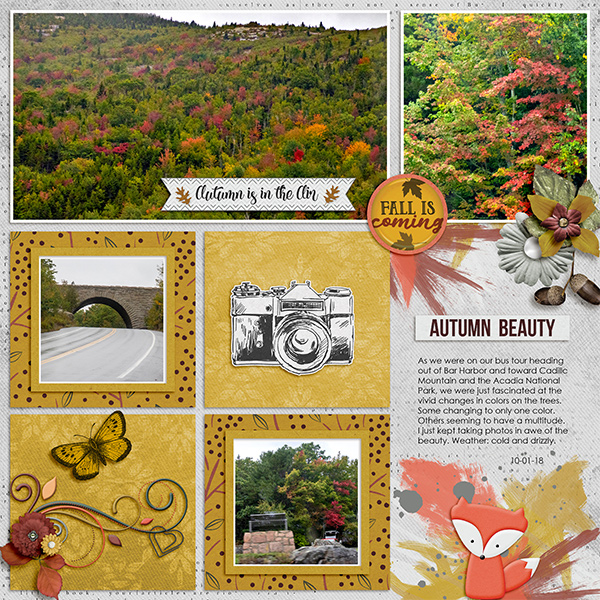 Autumn Beautfy