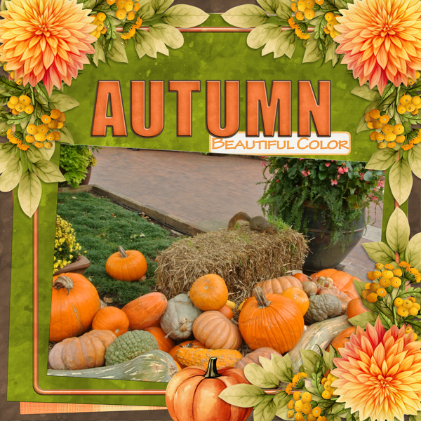 AUTUMN -Beautiful Color
