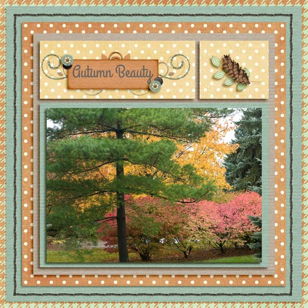 Autumn Beauty