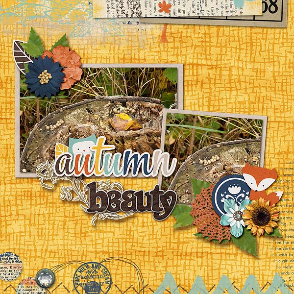 Autumn Beauty