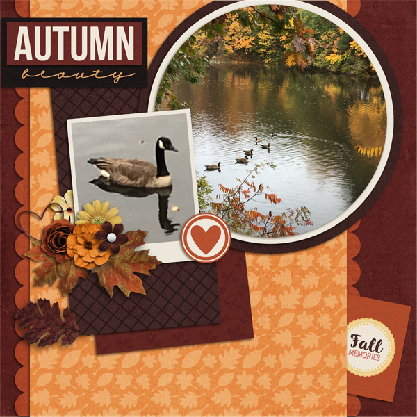 Autumn Beauty