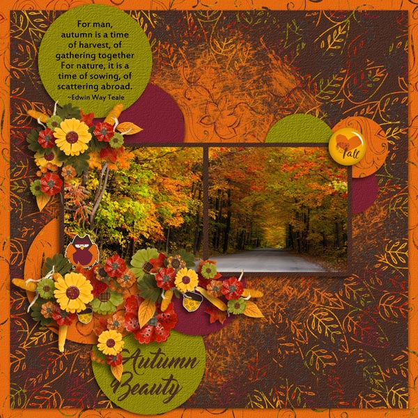 Autumn Beauty