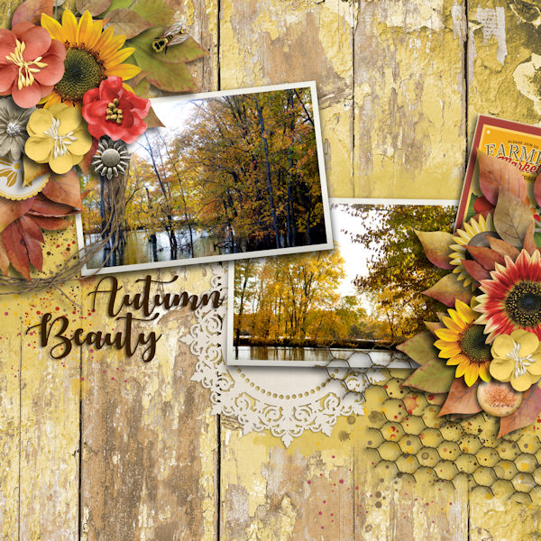 Autumn Beauty