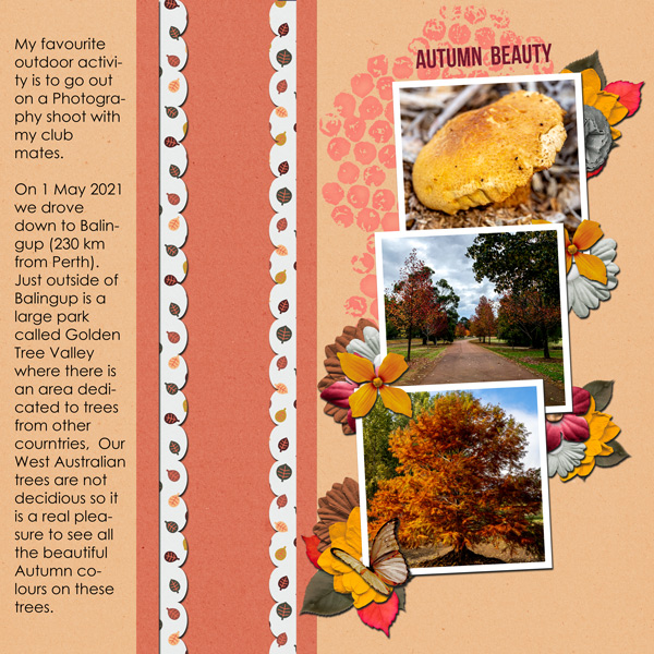Autumn Beauty