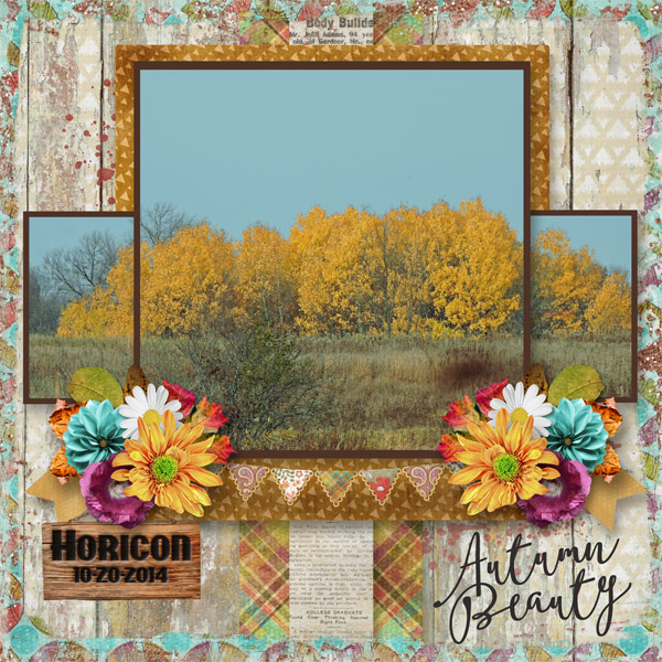 Autumn Beauty