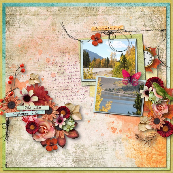 Autumn Beauty