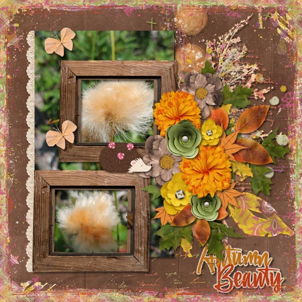 Autumn Beauty