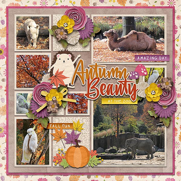 autumn beauty