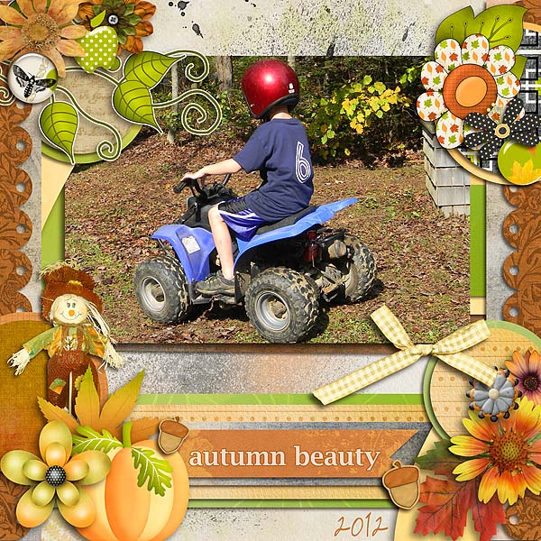 Autumn Beauty