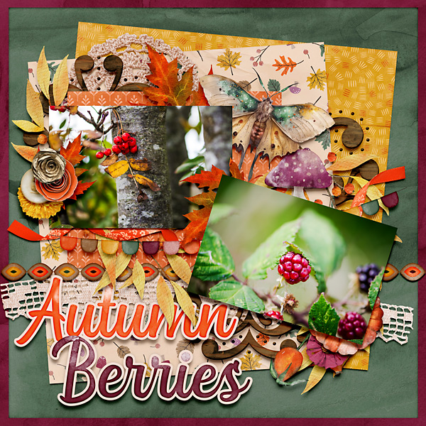 Autumn Berries