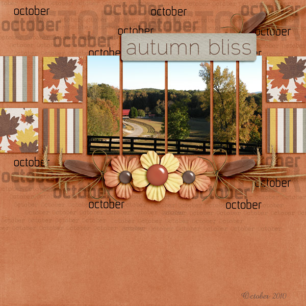 Autumn Bliss