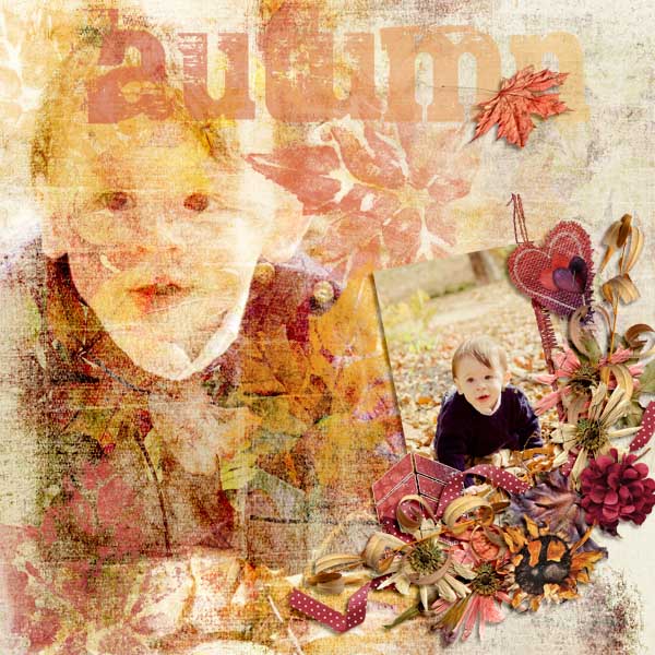 Autumn Bliss