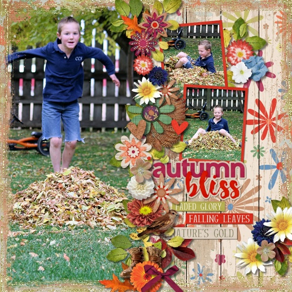 Autumn Bliss