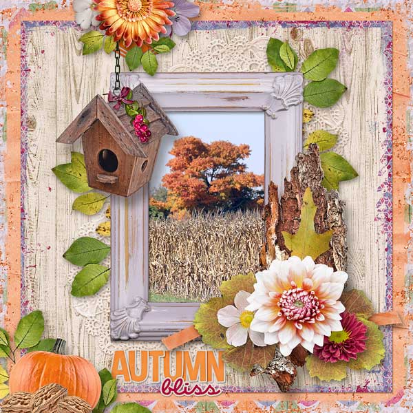 Autumn Bliss