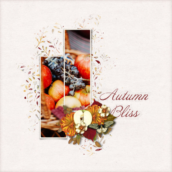 Autumn Bliss