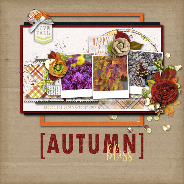 Autumn Bliss