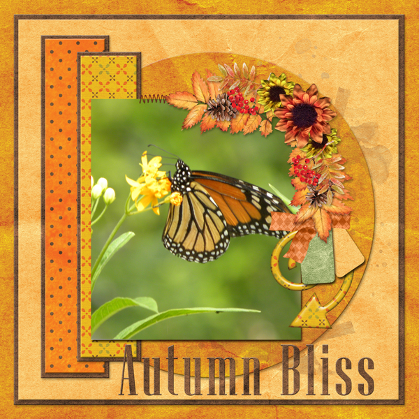 Autumn Bliss