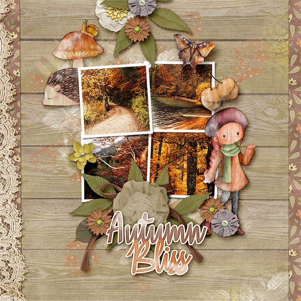 Autumn Bliss