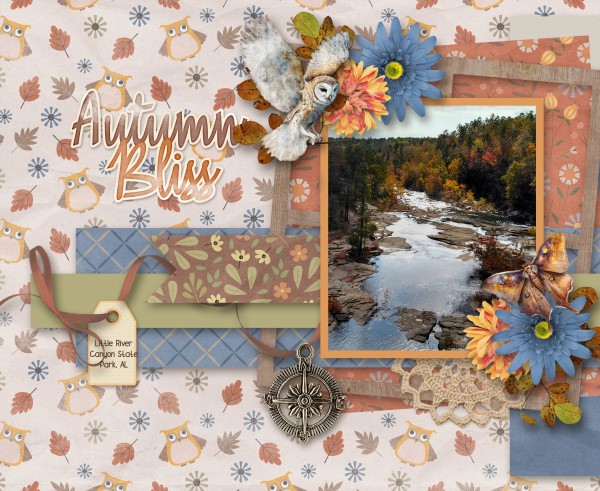 Autumn Bliss
