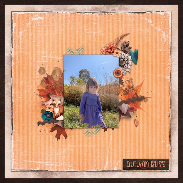 Autumn Bliss