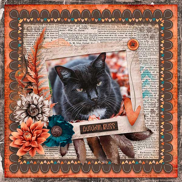 Autumn Bliss