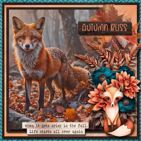 Autumn Bliss