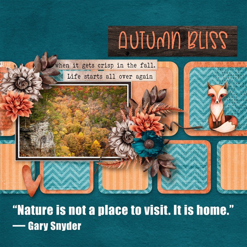 Autumn Bliss