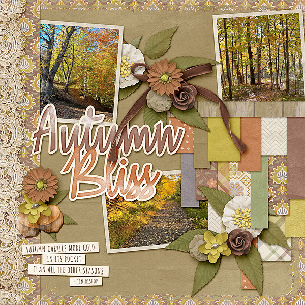 Autumn Bliss