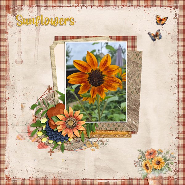autumn bloom