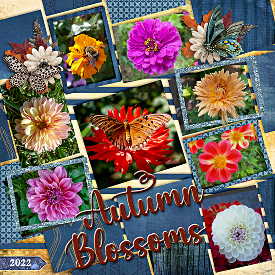 Autumn blossoms