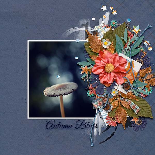 AUTUMN BLUES
