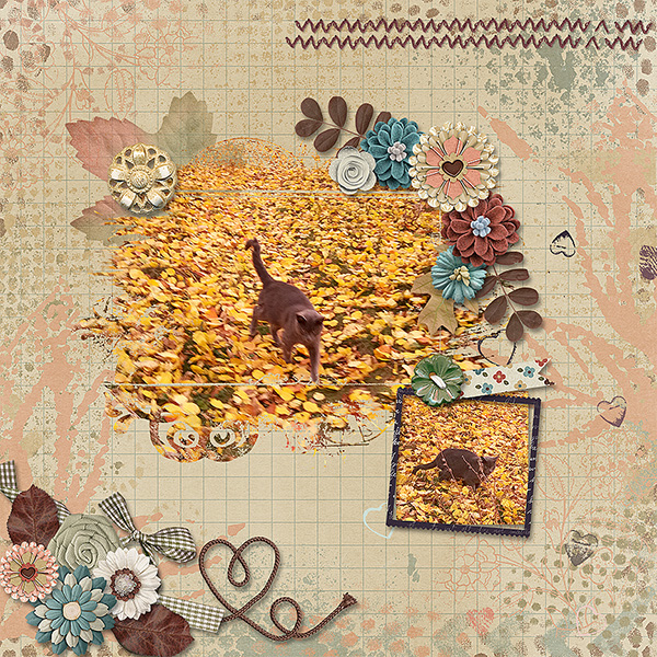 Autumn Cat