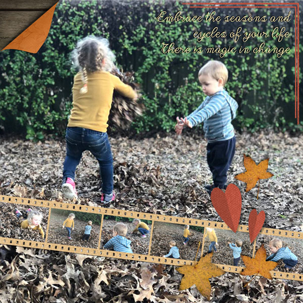 Autumn Change
